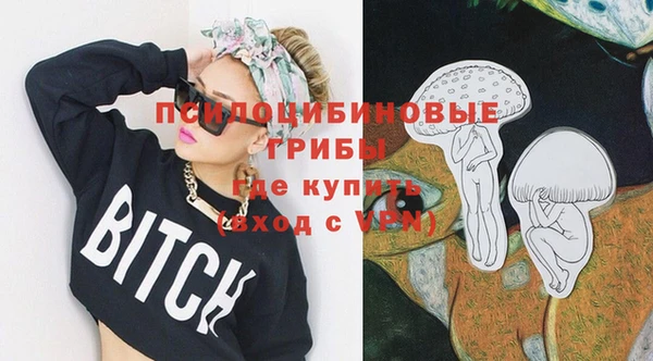 apvp Гусь-Хрустальный